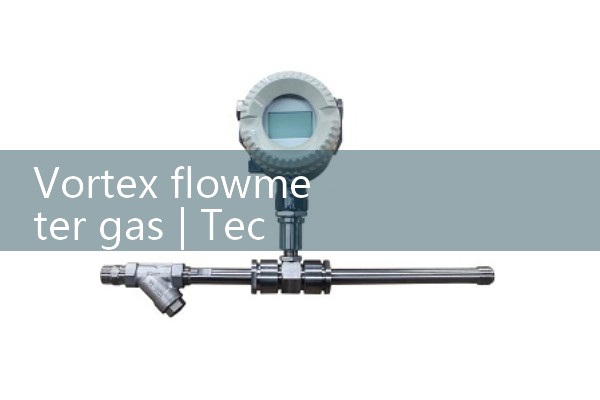 Vortex flowmeter gas